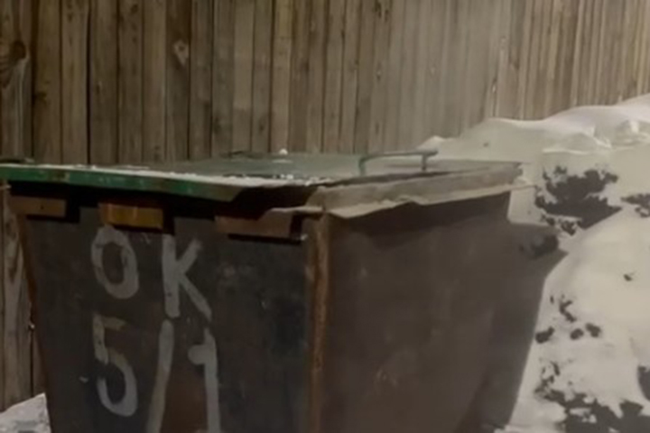 Вот почему нельзя выбрасывать горячую золу в мусорный бак - видео Минприроды Хакасии